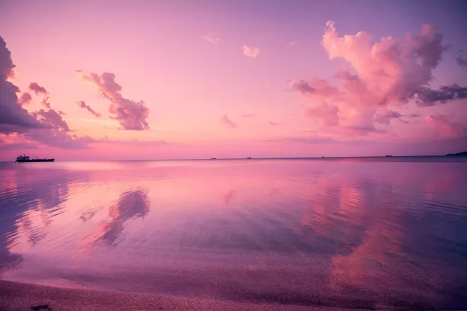Un magnifique coucher de soleil rose sur une mer calme avec des navires au loin.