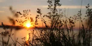 Comment l'observation du coucher de soleil peut améliorer votre santé mentale