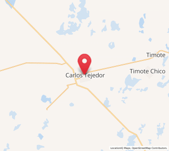 Map of Carlos Tejedor, Buenos Aires