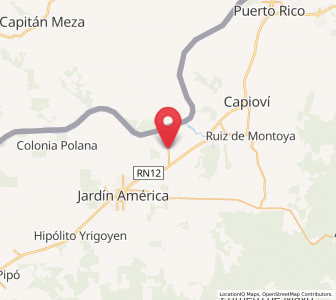 Map of Puerto Leoni, Misiones
