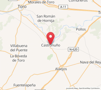Map of Castronuño, Castille and León