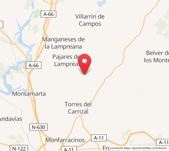 Map of Cerecinos del Carrizal, Castille and León