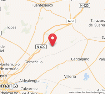 Map of Villanueva de los Pavones, Castille and León