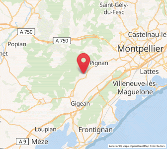 Map of Cournonterral, Occitanie