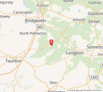 Map of Athelney, EnglandEngland