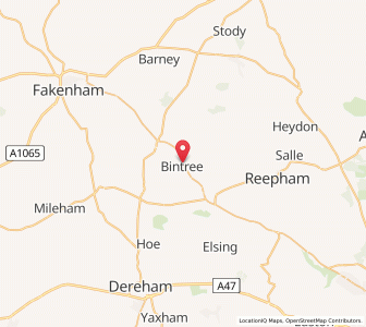 Map of Bintree, EnglandEngland
