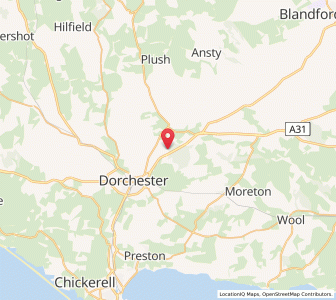 Map of Yellowham Wood, EnglandEngland