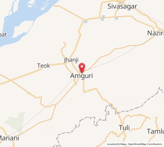 Map of Amguri, Assam