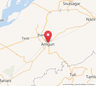 Map of Amguri, Assam
