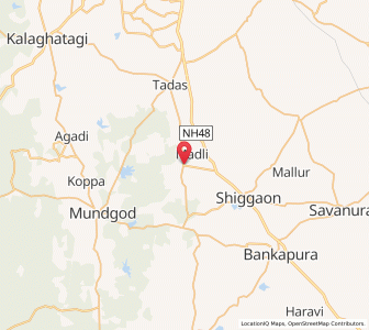 Map of Dhundsi, Karnataka