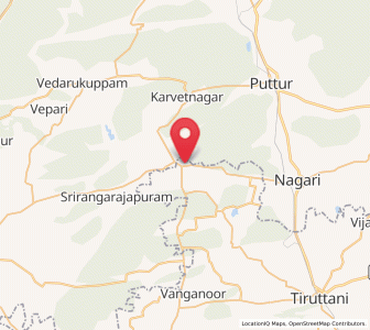 Map of Pallipattu, Tamil Nadu