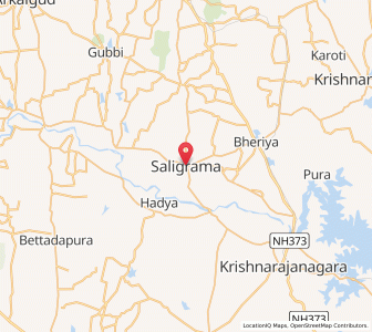 Map of Saligrama, Karnataka