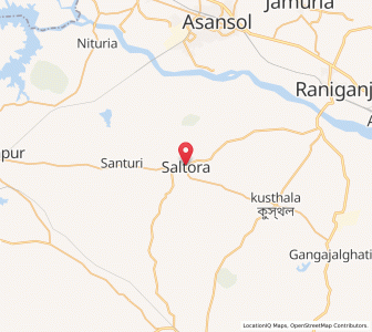 Map of Saltora, West Bengal