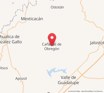 Map of Cañadas de Obregón, Jalisco