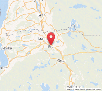 Map of Roa, Viken