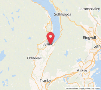 Map of Sylling, Viken
