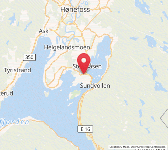 Map of Vik, Viken