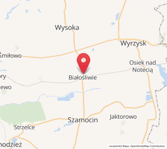 Map of Białośliwie, Greater Poland