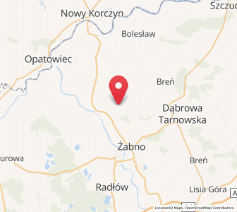 Map of Gorzyce, Lesser Poland
