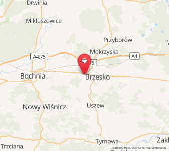 Map of Jasień, Lesser Poland