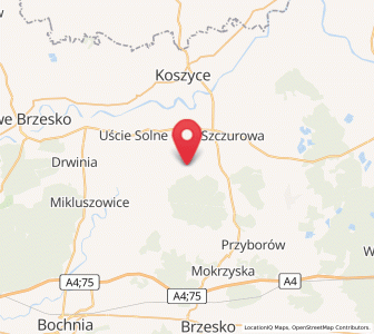 Map of Strzelce Wielkie, Lesser Poland