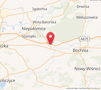 Map of Targowisko, Lesser Poland