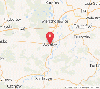 Map of Wojnicz, Lesser Poland