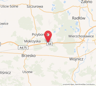 Map of Wokowice, Lesser Poland
