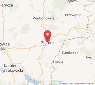 Map of Ziębice, Lower Silesia