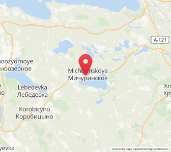 Map of Michurinskoye, Leningradskaya Oblast'