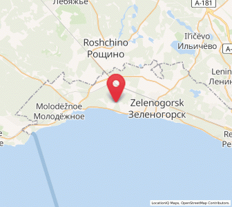 Map of Ushkovo, St.-Petersburg