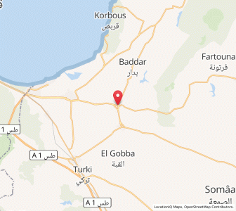 Carte : Mennzel Bou Zelfa, Nabeul