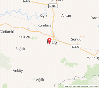 Map of Muş, Muş