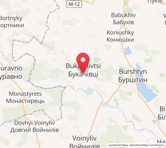 Map of Boukatchivtsi, Ivano-Frankivsk