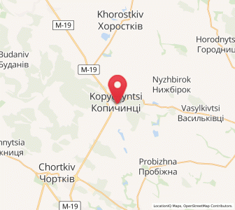 Map of Kopytchytsi, Ternopil