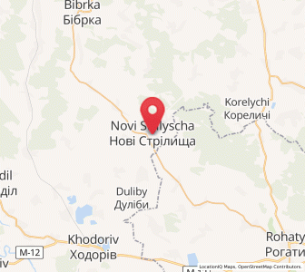 Map of Novi Strilyscha, Lviv
