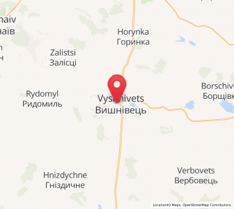 Map of Vychnivets, Ternopil