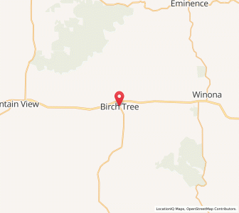 Map of Birch Tree, Missouri