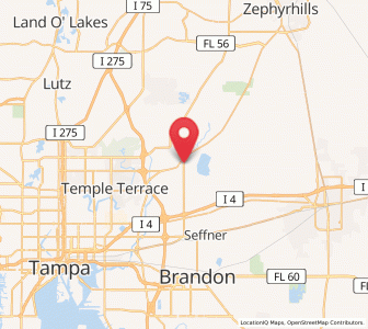 Map of Thonotosassa, Florida